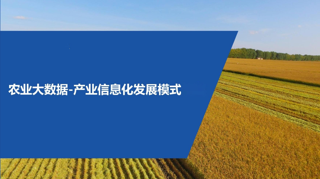 农业大数据-产业信息化发展模式