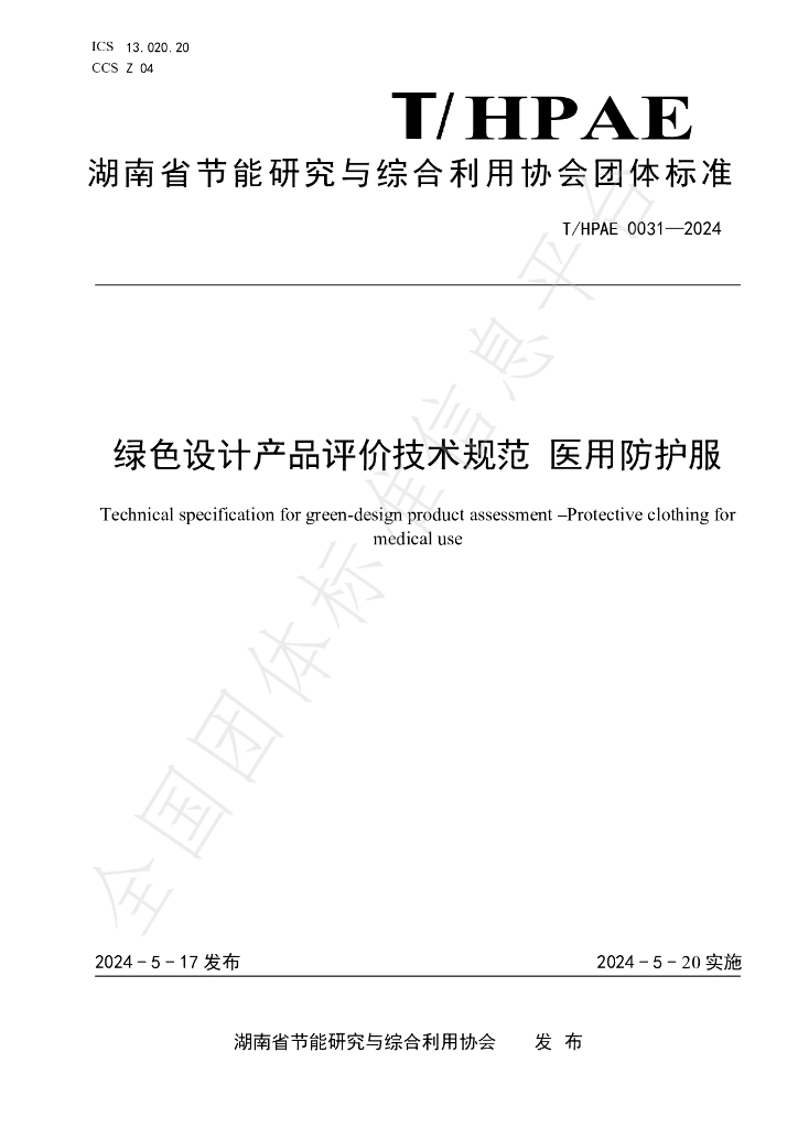 T/HPAE 0031-2024 标准预览