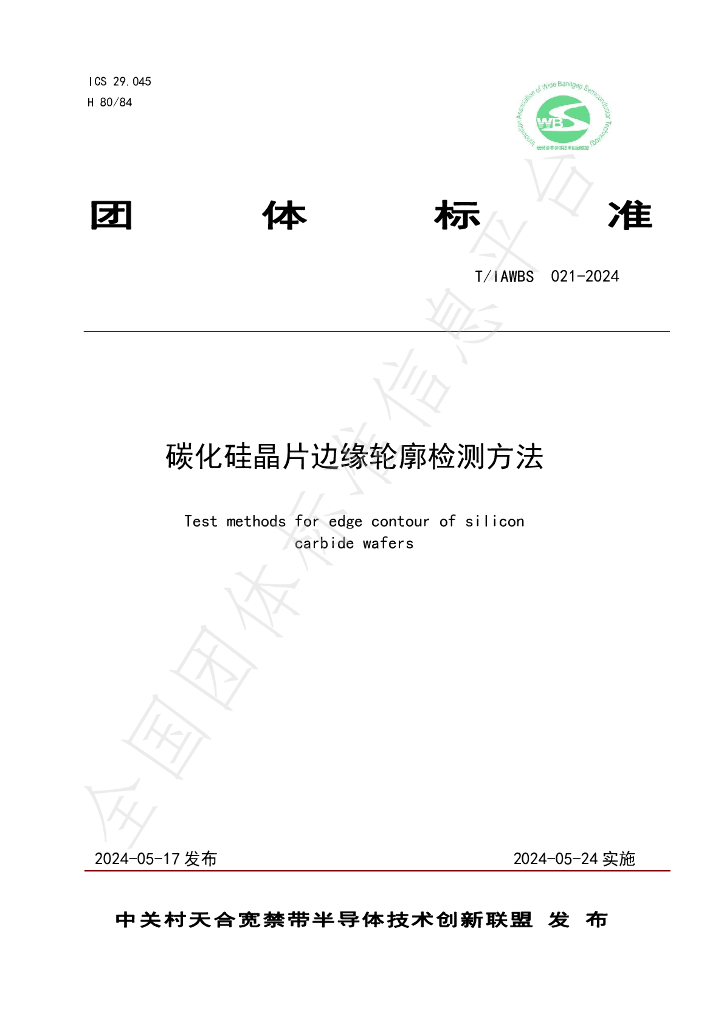 T/IAWBS 021-2024 标准预览