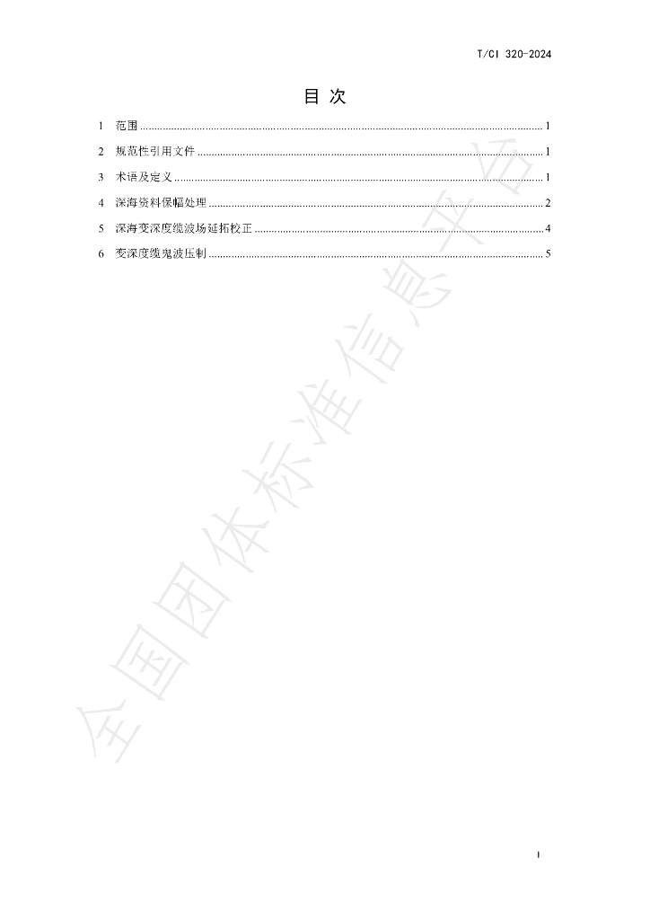T/CI 320-2024 标准预览