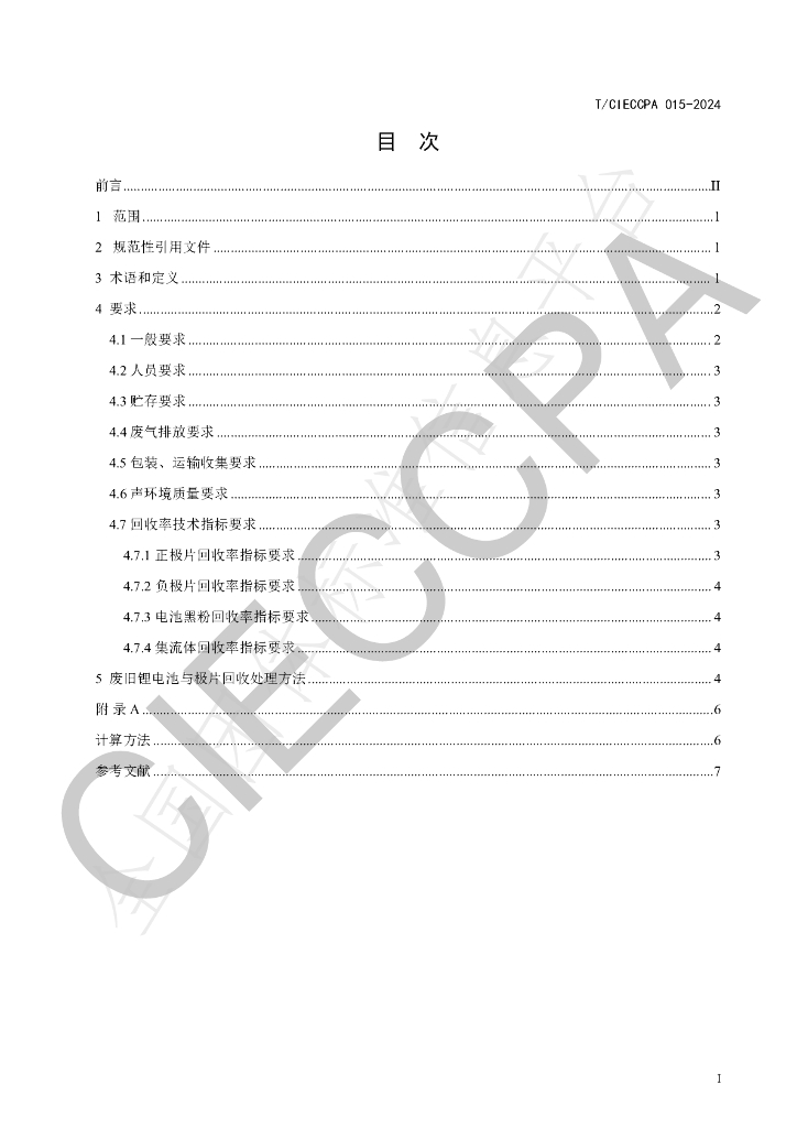 T/CIECCPA 015-2024 标准预览