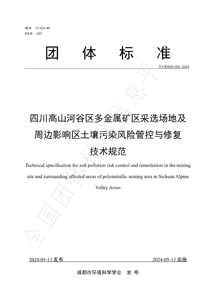 T/CDSES 001-2024 标准预览