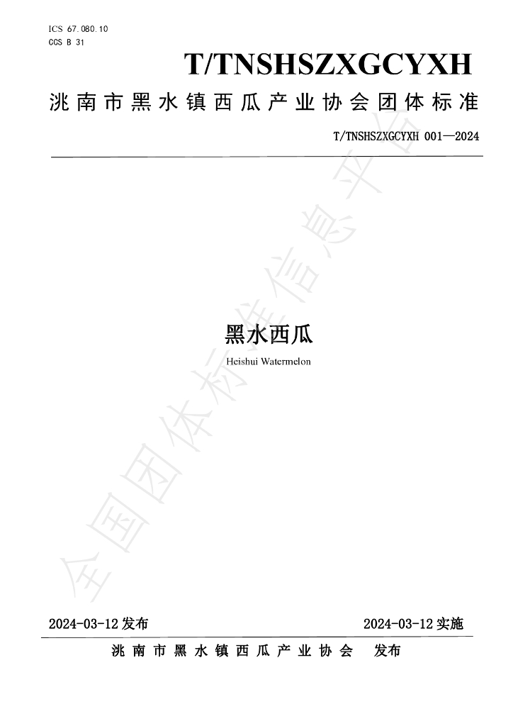 T/TNSHSZXGCYXH 001-2024 标准预览