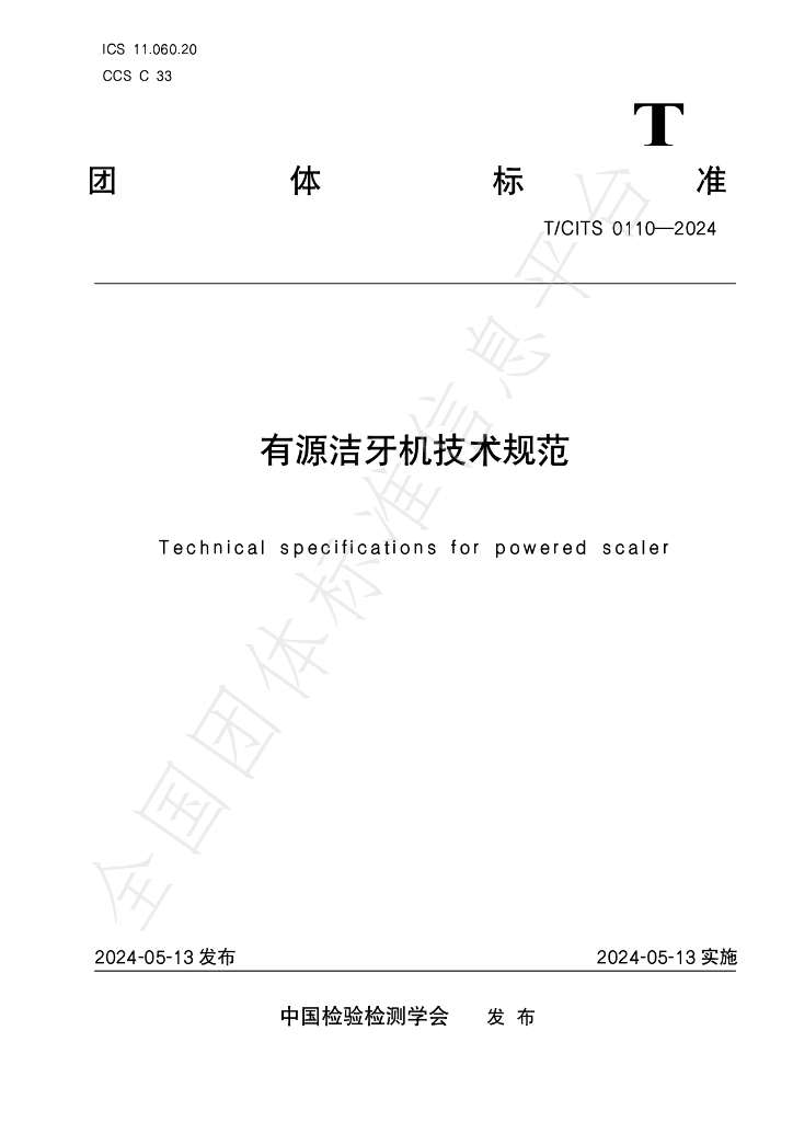 T/CITS 0110-2024 标准预览