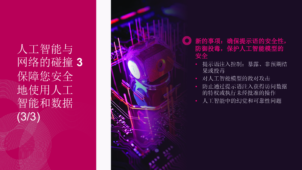 CPX午餐会：CISO-人工智能与网络安全的教诲_第9页