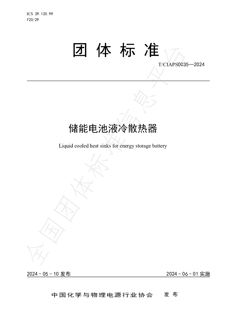T/CIAPS 0035-2024 标准预览