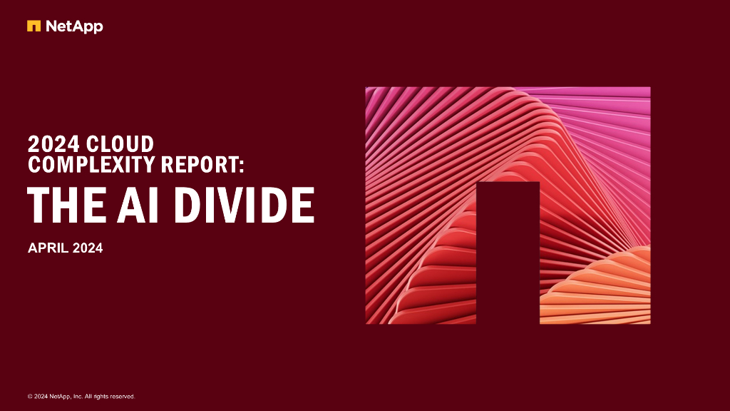 NetAPP：2024年云复杂性报告：<em>人工智能</em>鸿沟（英文版） 海报