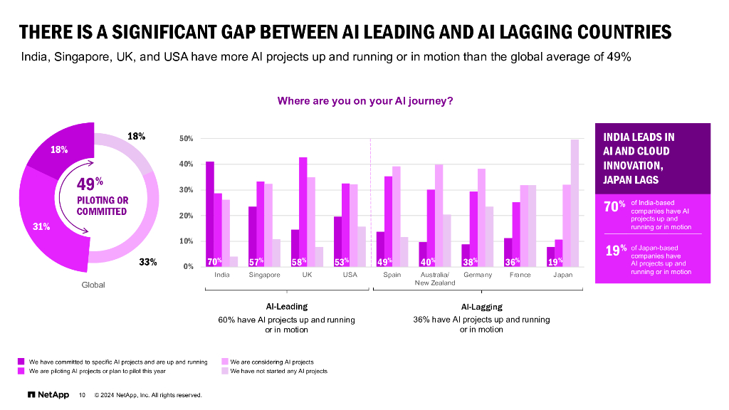 NetAPP：2024年云复杂性报告：人工智能鸿沟（英文版）_第10页