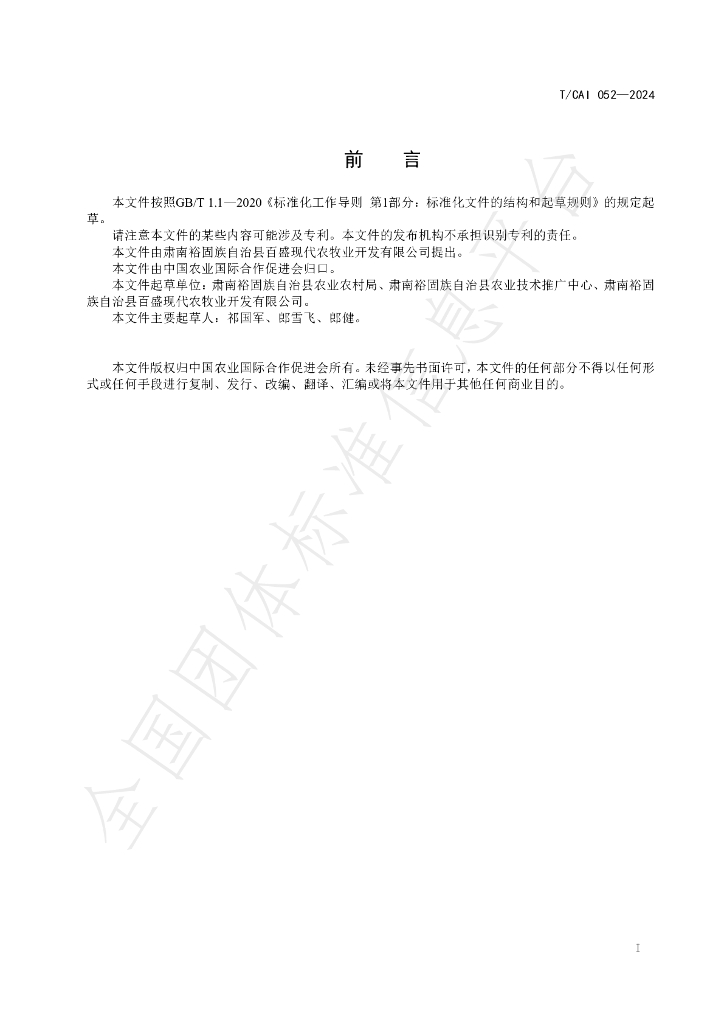 T/CAI 052-2024 标准预览