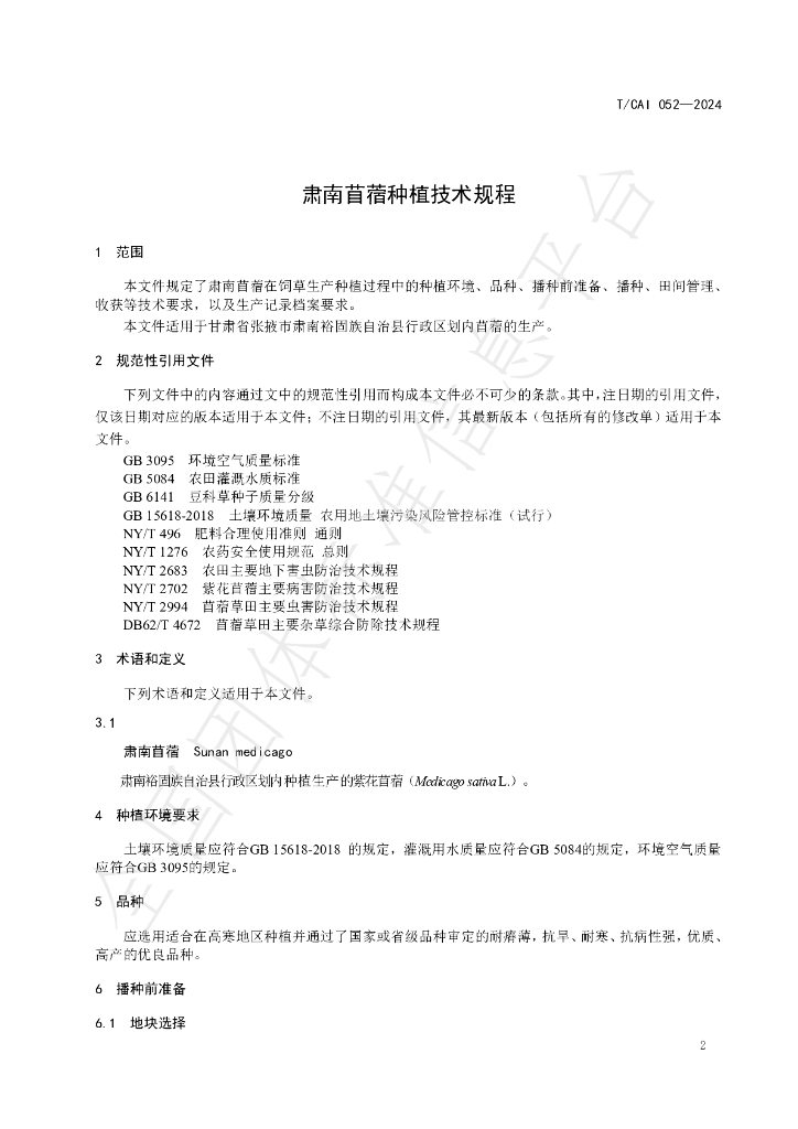 T/CAI 052-2024 标准预览