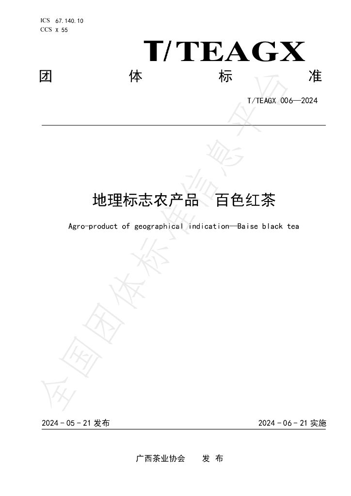 T/TEAGX 006-2024 标准预览