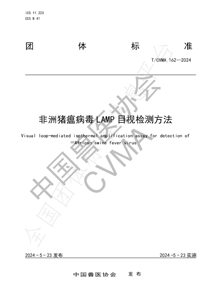 T/CVMA 162-2024 标准预览