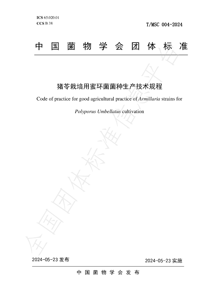 T/MSC 004-2024 标准预览