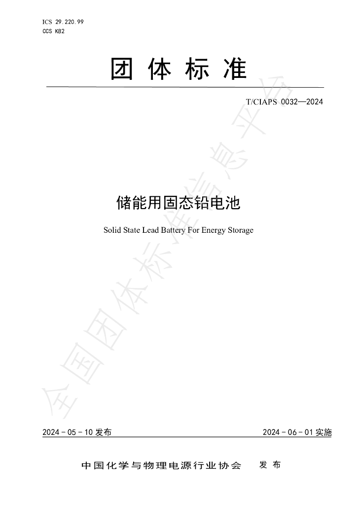 T/CIAPS 0032-2024 标准预览