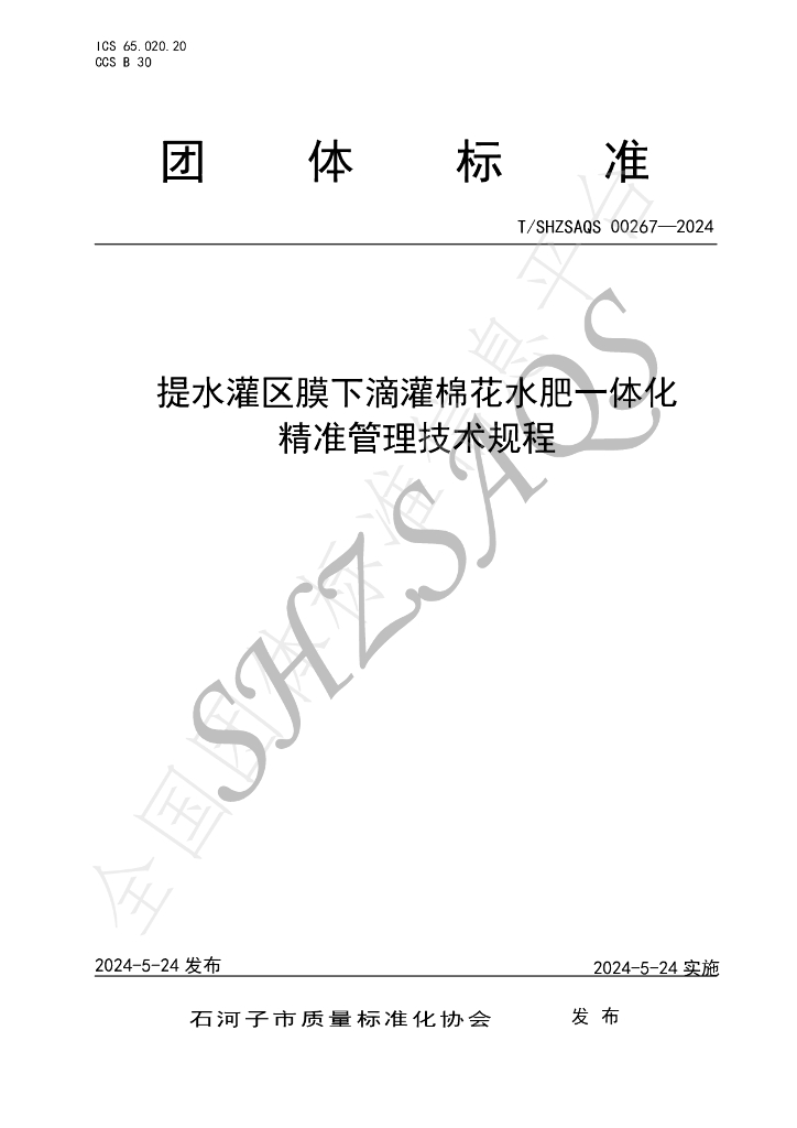 T/SHZSAQS 00267-2024 标准预览