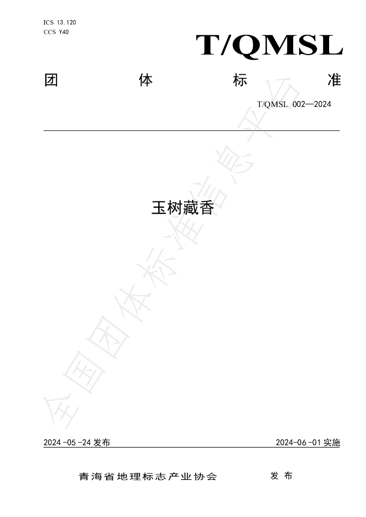 T/QMSL 002-2024 标准预览