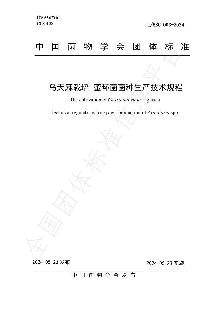 T/MSC 003-2024 标准预览