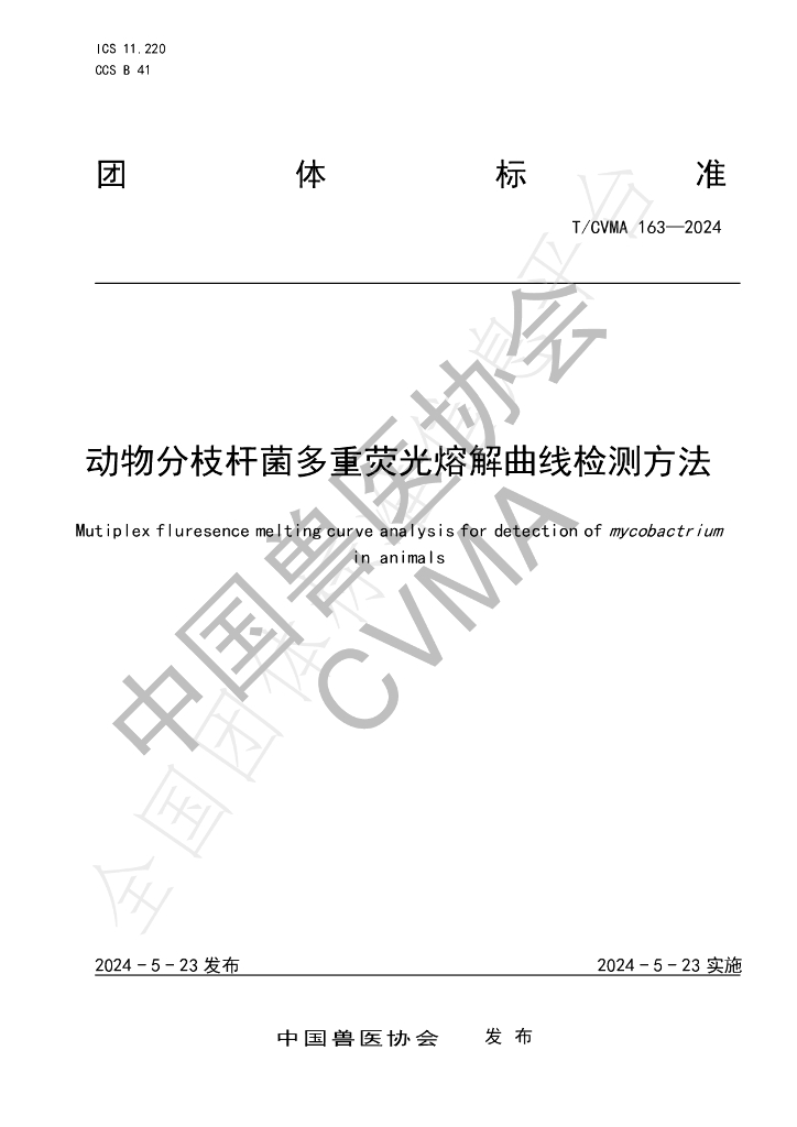 T/CVMA 163-2024 标准预览