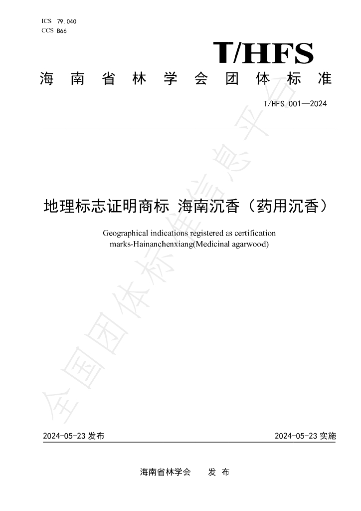 T/HFS 001-2024 标准预览