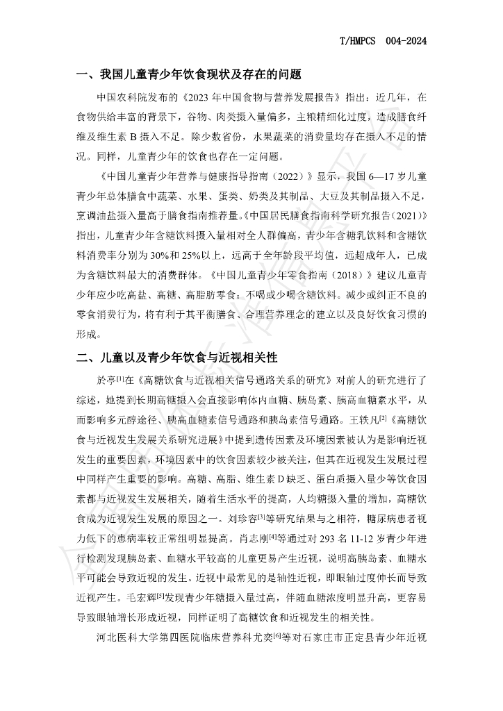 T/HMPCS 004-2024 标准预览