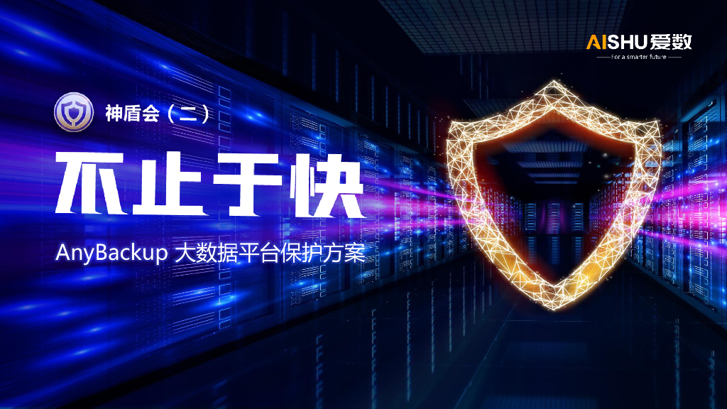爱数：anybackup大数据平台保护方案