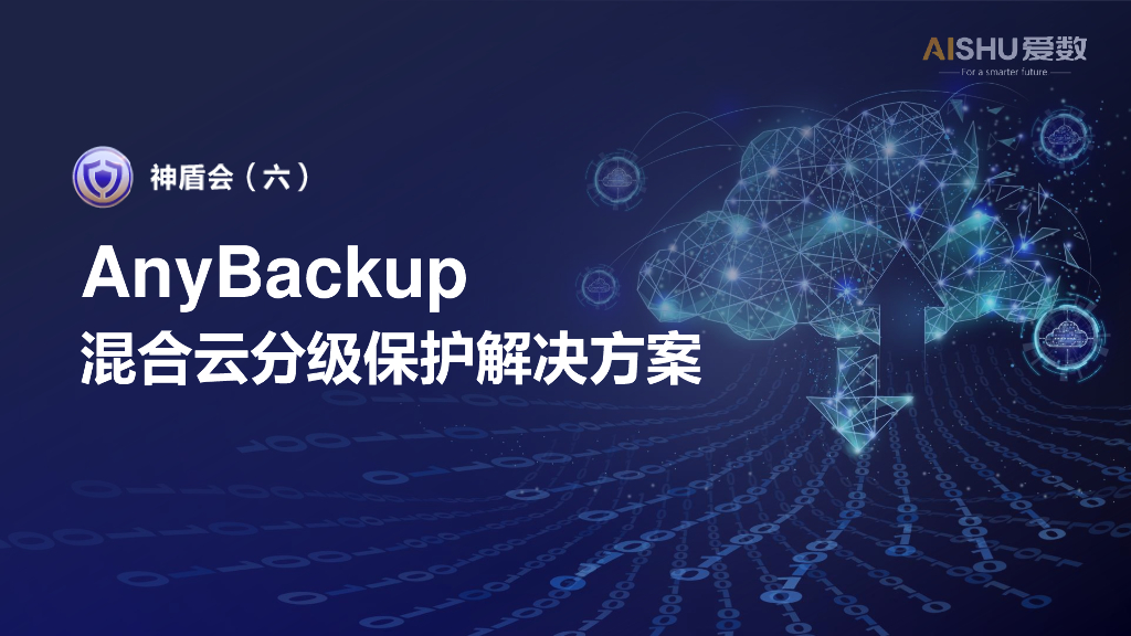 爱数：anybackup混合云分级保护解决方案