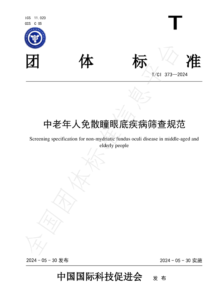 T/CI 373-2024 标准预览