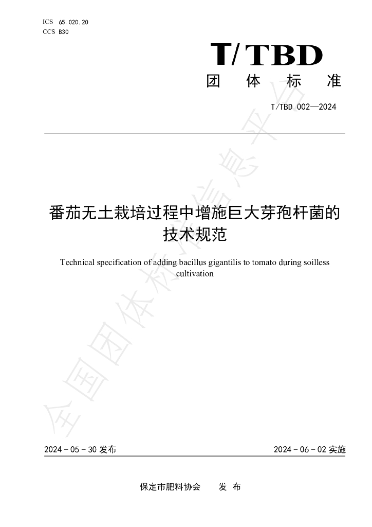 T/TBD 002-2024 标准预览