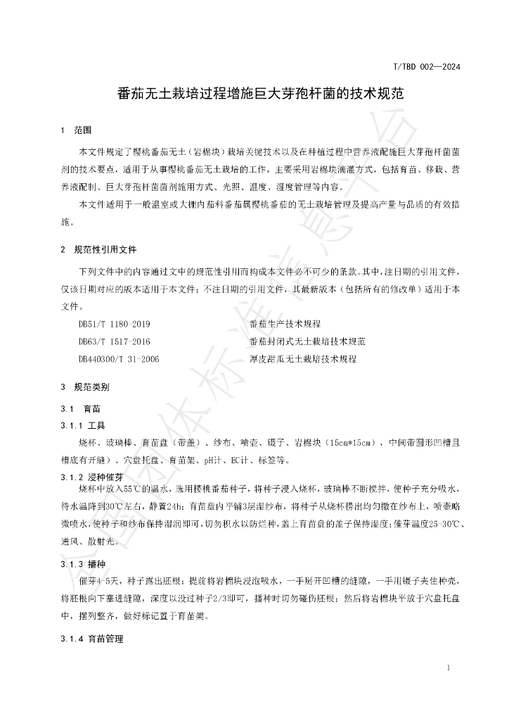 T/TBD 002-2024 标准预览