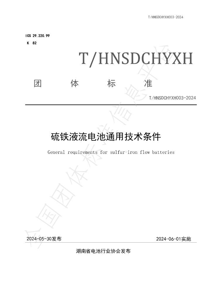 T/HNSDCHYXH 003-2024 标准预览
