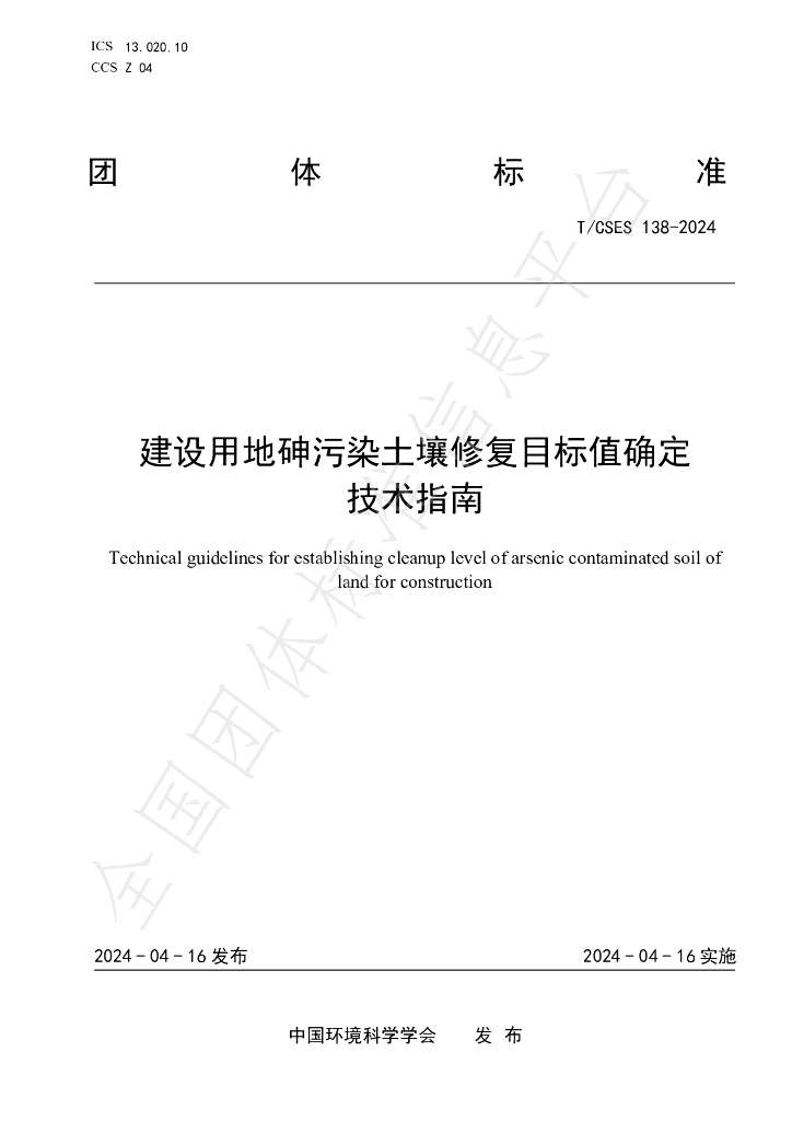 T/CSES 138-2024 标准预览
