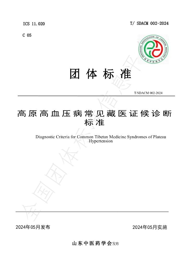 T/SDACM 002-2024 标准预览