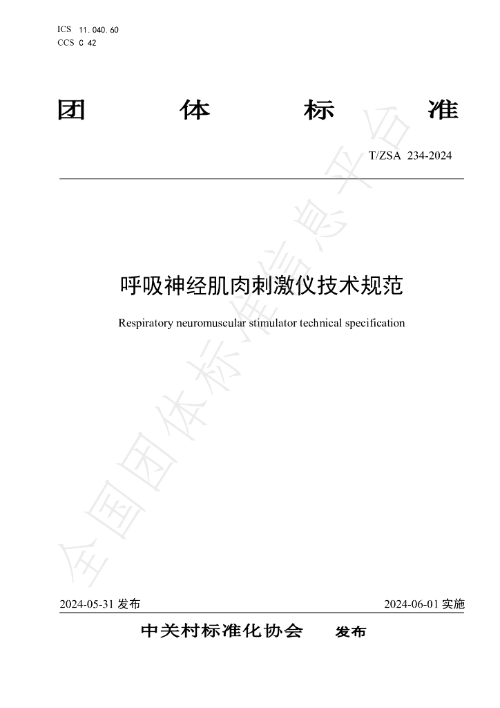 T/ZSA 234-2024 标准预览