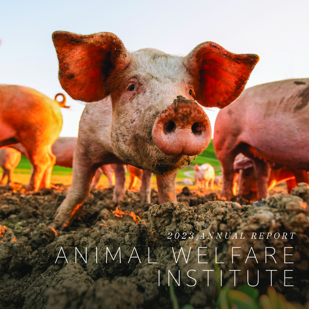 Animal Welfare Institute 2023财年年度报告（英文版）