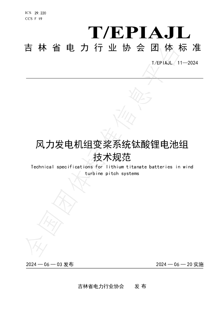 T/EPIAJL 11-2024 标准预览