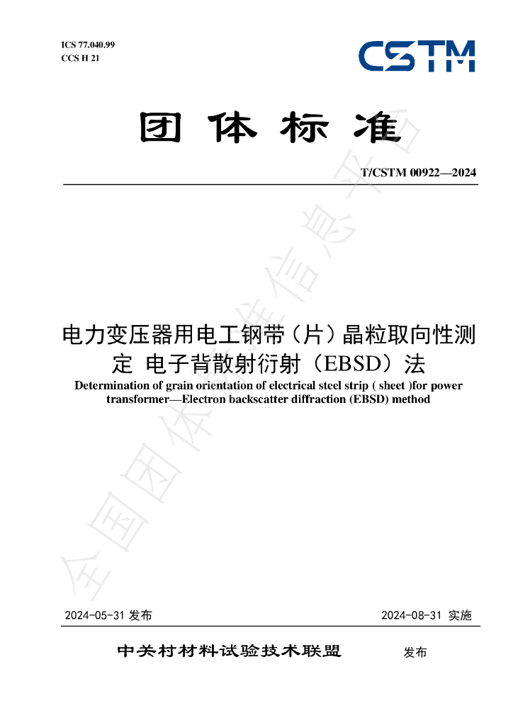 T/CSTM 00922-2024 标准预览