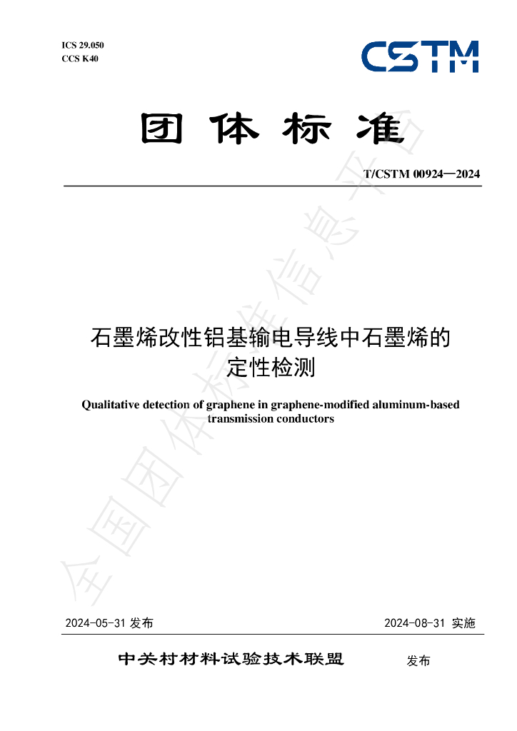 T/CSTM 00924-2024 标准预览