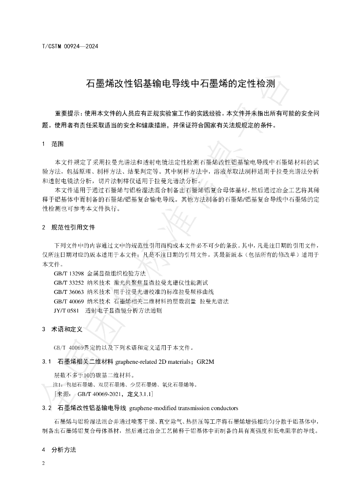 T/CSTM 00924-2024 标准预览
