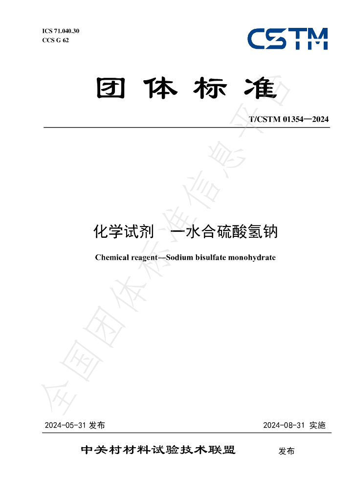T/CSTM 01354-2024 标准预览