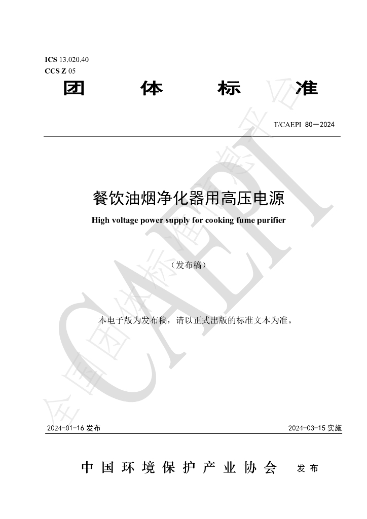 T/CAEPI 80-2024 标准预览