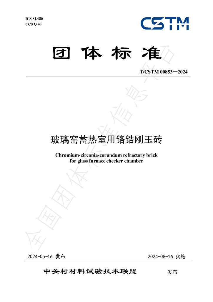 T/CSTM 00853-2024 标准预览