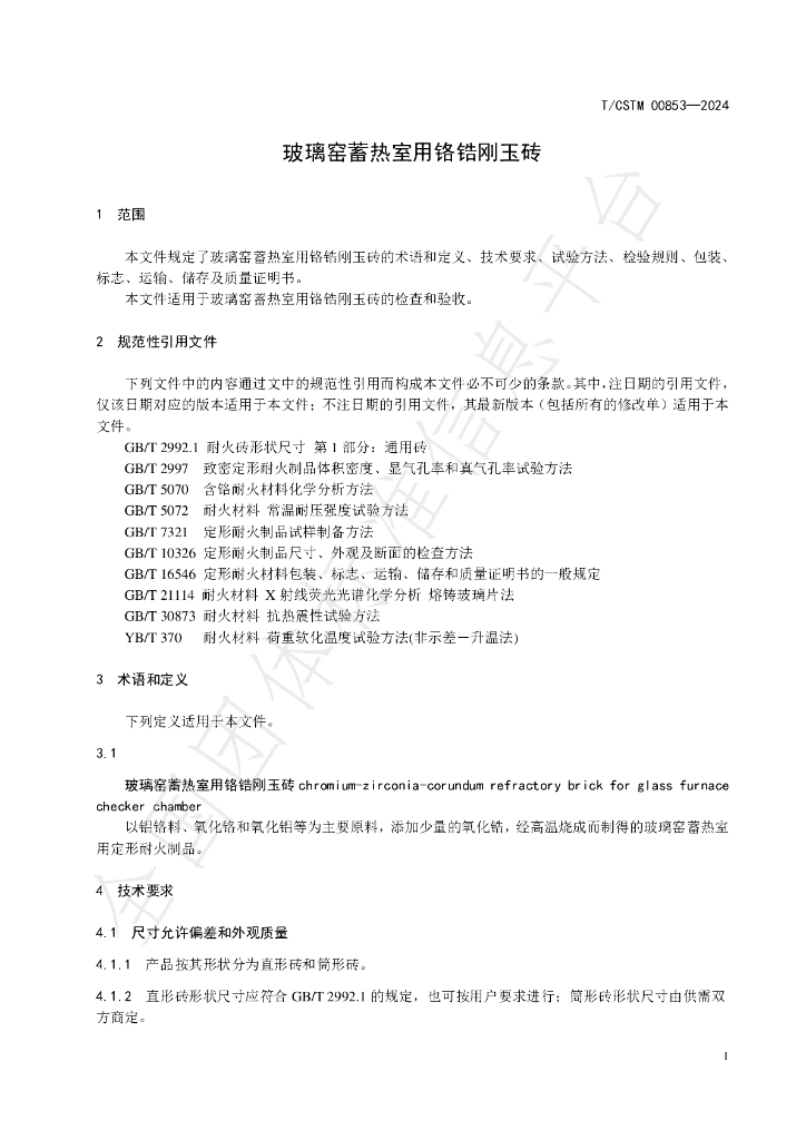 T/CSTM 00853-2024 标准预览