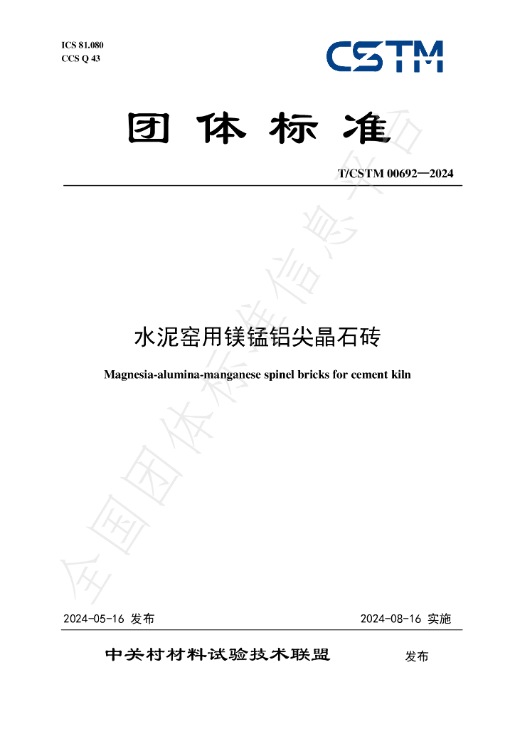 T/CSTM 00692-2024 标准预览