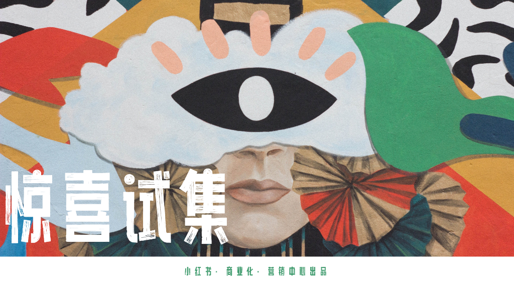 小红书：2024惊喜试集互动IP招商方案