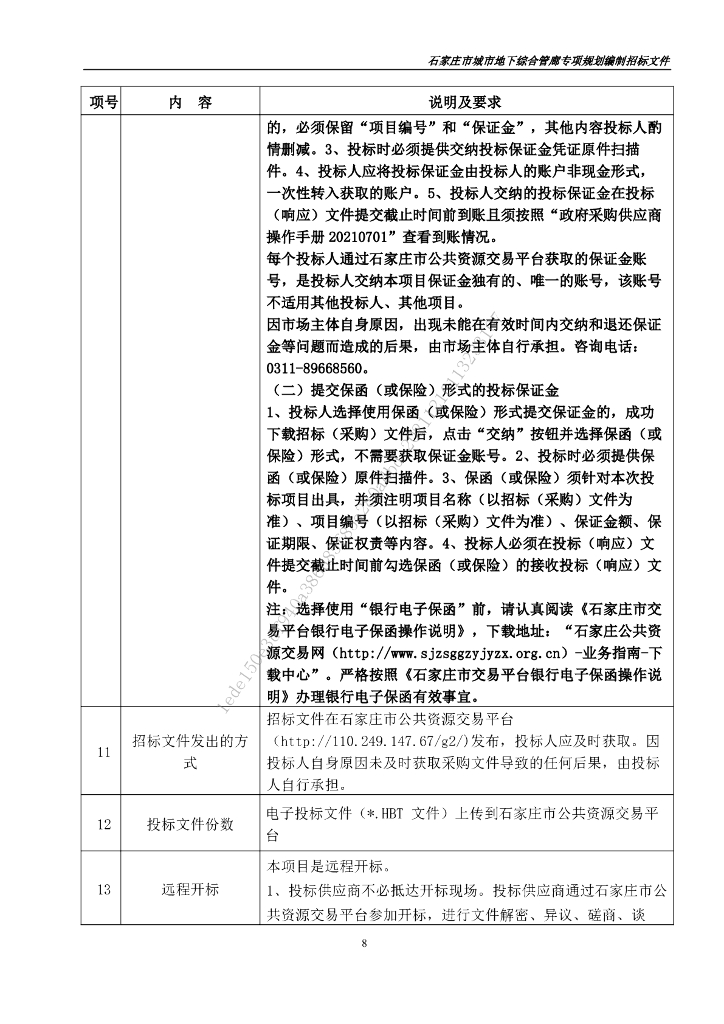 石家庄市城市地下综合管廊专项规划编制招标文件_第9页