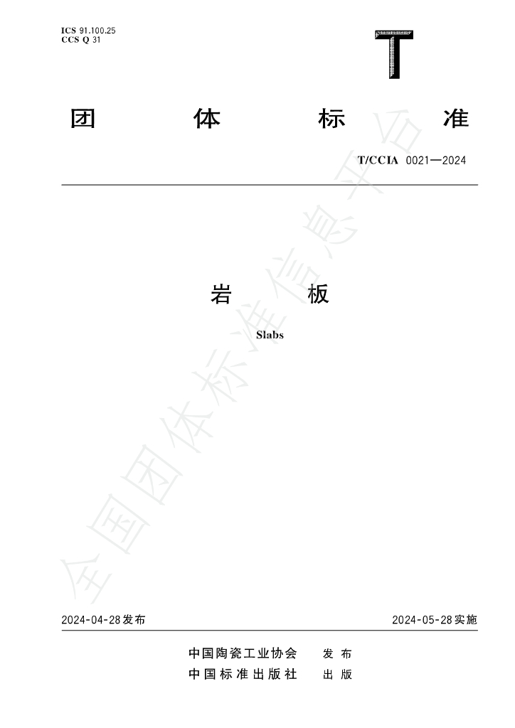 T/CCIA 0021-2024 标准预览