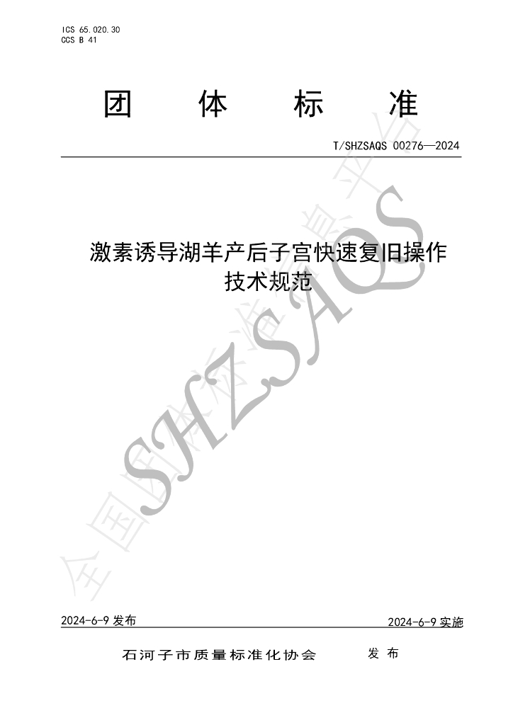 T/SHZSAQS 00276-2024 标准预览