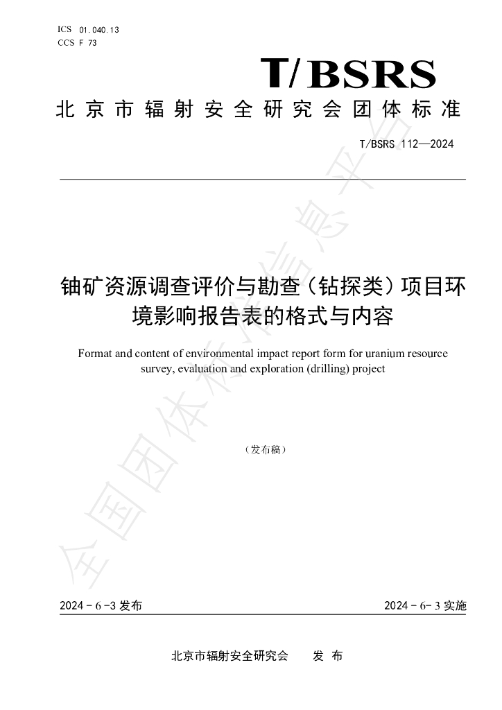 T/BSRS 112-2024 标准预览