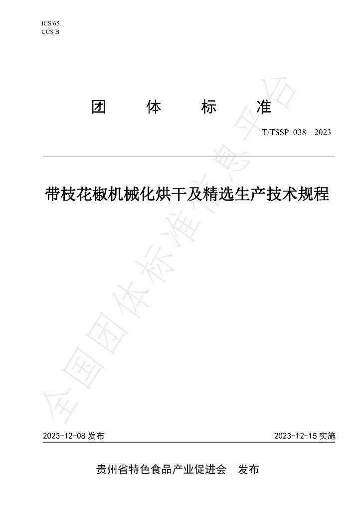T/TSSP 038-2023 标准预览