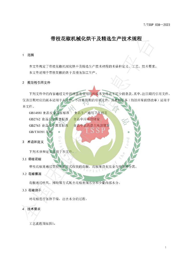 T/TSSP 038-2023 标准预览